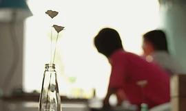 Vị mặn tình đầu…