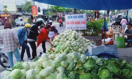 Người dân Đà Nẵng chung tay giải cứu nông sản Hải Dương 