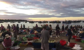 Không sầm uất, tấp nập như những chợ đầu mối thủy sản khác, khu chợ này bắt đầu từ lúc 4h sáng và chỉ đến khoảng 6-7h sáng là kết thúc, lặng lẽ như cách mặt trời mọc phía sau nó - ảnh Lê Công Đức