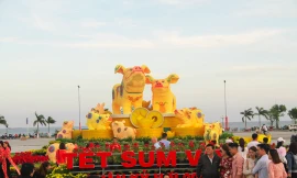 Biểu tượng linh vật tết Kỷ Hợi của Bình Định là heo bố mẹ và 9 heo con