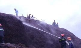 Hiện trường đám cháy xảy ra tại kho dăm gỗ của Công ty TNHH Trường Phát. Ảnh: Tr.Định