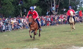 Độc đáo hội đua ngựa… thồ nơi xứ 'nẫu'