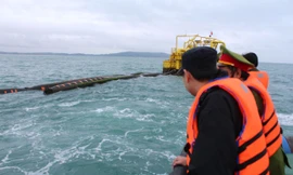 Kiểm tra, xác định nguyên nhân ống dẫn dầu thô. Ảnh Đ.N