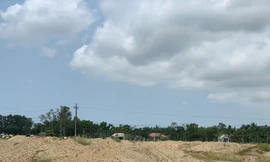 Ruộng lúa của dân bị DN san lấp trái phép - ảnh N.N 