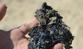 Xuất hiện vệt đen lạ kéo dài hơn 2km tại bờ biển Quảng Ngãi