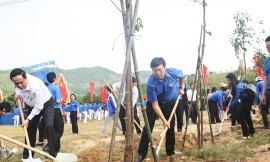 Khởi động Tháng Thanh niên 2019 trên đất võ Tây Sơn 