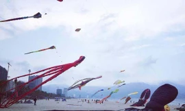 Cả đại dương 'tung bay' trên những cánh diều trước biển Đông Đà Nẵng 