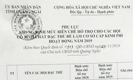 Danh sách các hội đặc thù cấp tỉnh. Ảnh Nguyễn Ngọc