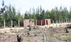 Người dân tự ý đóng cọc, chia lô. Ảnh: Tr.Định