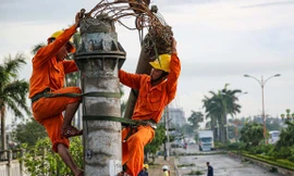 Hầu hết cột điện bị gãy do bão số 5 tại TT-Huế và miền Trung là cột bê tông thường - ảnh Nguyễn Đăng Đệ 