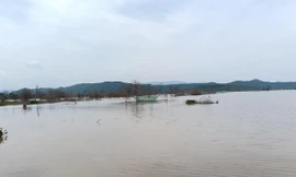 Hai anh em đi bắt ốc, tử vong dưới hồ thủy lợi Sông Lũy