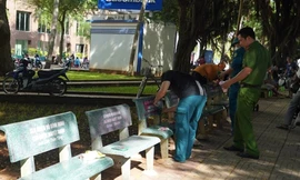 Chủ tịch phường nói gì về việc hàng trăm ghế đá ở Vũng Tàu bị 'bôi bẩn' sau 1 đêm