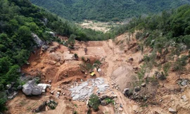 17.000m2 đất rừng phòng hộ trên núi Thị Vải bị san hạ