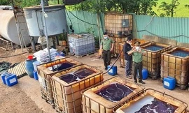 Xưởng nấu dầu 4.000 m2 'ẩn' giữa cánh đồng khiến Bí thư, Chủ tịch xã bị đình chỉ công tác