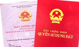 TPHCM hướng dẫn cấp sổ đỏ cho đất có trước năm 1993