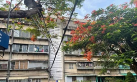 Vụ 120 căn hộ bị thu hồi: Các cơ quan chức năng Bà Rịa Vũng Tàu vào cuộc