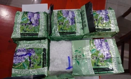 Triệt phá đường dây mua bán ma túy lớn nhất từ trước tới nay tại Bình Thuận