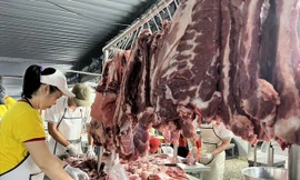 Đảo Phú Quý thiếu thịt 