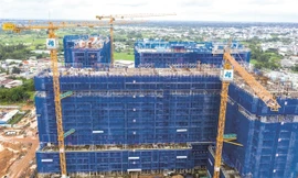 Tập đoàn xây dựng Hòa Bình thua lỗ 