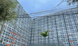 TPHCM tiếp tục gỡ vướng sổ hồng nhiều dự án