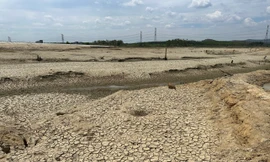 Tận thấy loạt hồ, đập thủy lợi, sông suối ở Bình Thuận cạn trơ đáy