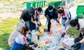 Trường đại học không rác