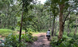 Đơn vị nào tư vấn lập báo cáo tác động môi trường hồ thuỷ lợi Ka-Pét?