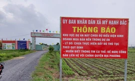 Rộ dự án bất động sản ngang nhiên 'bán lúa non' ở Long An