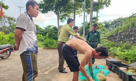 Người đàn ông vận chuyển 17 cá thể động vật quý hiếm ở Côn Đảo bị xử lý thế nào?