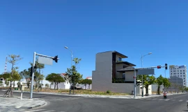 Vì sao cựu Chủ tịch UBND tỉnh và nhiều quan chức tỉnh Bình Thuận bị bắt?