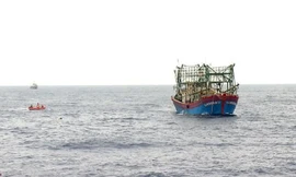 Ngộ độc khí trong hầm cá, 2 ngư dân tử vong ngoài khơi Bà Rịa - Vũng Tàu