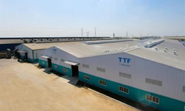 Nhiều doanh nghiệp bị nhắc nhở