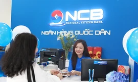 Ngân hàng, doanh nghiệp lớn phát hành hàng trăm triệu cổ phiếu