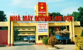 Động thái của nhiều chủ tịch doanh nghiệp