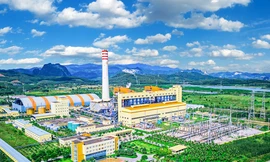 Doanh nghiệp lỗ nặng nhưng báo lãi 'nhầm' hơn 120 tỷ đồng