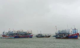 1 người tử vong, gần chục tàu thuyền bị chìm do bão số 9