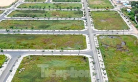 Phân lô tách thửa đất ở tại Bà Rịa - Vũng Tàu bị 'tắc' do chưa có quy hoạch