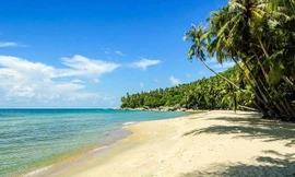 Du lịch Côn Đảo có những gì?