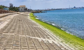 Kỷ luật Phó Giám đốc Sở Nông nghiệp và Phát triển nông thôn Bình Thuận