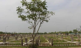 116 dự án bất động sản kêu cứu tại TPHCM vẫn nằm bất động