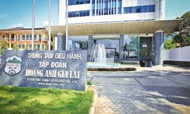 Hoàng Anh Gia Lai, Tập đoàn Hòa Bình bị nghi ngờ khả năng hoạt động 