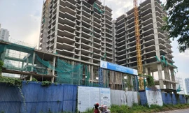 Tự ý cho doanh nghiệp mượn khu đất gần 24.000 m2 