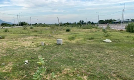 Bà Rịa-Vũng Tàu thu hồi đất khu công nghiệp bỏ hoang