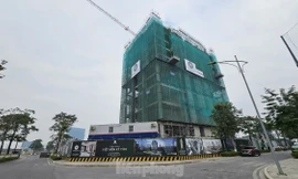 Căn hộ bắt đầu được xem là tài sản tích trữ của người Hà Nội