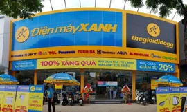 Lộ diện những doanh nghiệp đang sở hữu 'núi' tiền mặt 