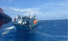 Lai dắt tàu cá bị phá nước, cứu sống 15 thuyền viên 
