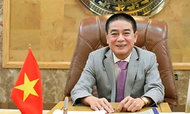 Chủ tịch công ty liên quan dự án bị điều tra ở Bình Thuận xin đi Singapore chữa bệnh