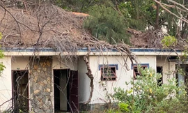 Cảnh hoang tàn ở Mũi Kê Gà sau 10 năm hủy dự án cảng nước sâu