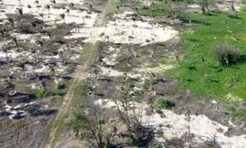 Thu hồi dự án du lịch, resort ‘treo’ hơn 20 năm ở Bình Thuận 