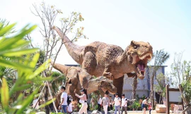 Du lịch Bình Thuận, Bà Rịa - Vũng Tàu bội thu dịp Tết